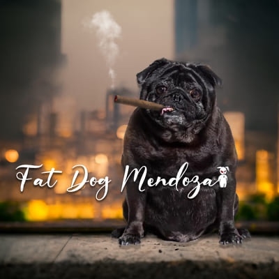 Fat Dog Mendoza Auto Renegade Seed Co. Autoflowering Overgrow